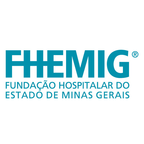 IMG-1-concurso-FHEMIG-