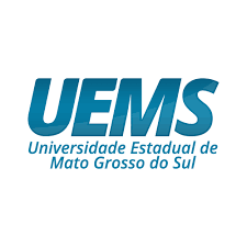 IMG-2-UEMS-concurso-publico